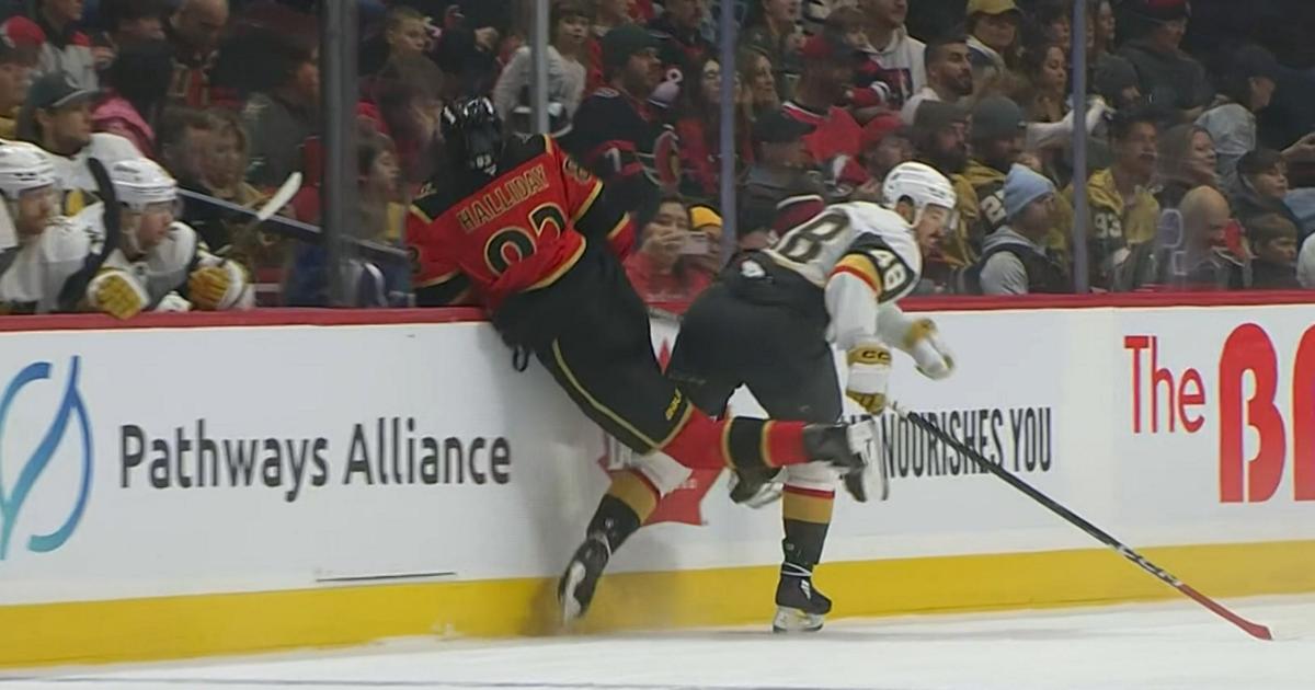 Stephen Halliday-Tomas Hertl