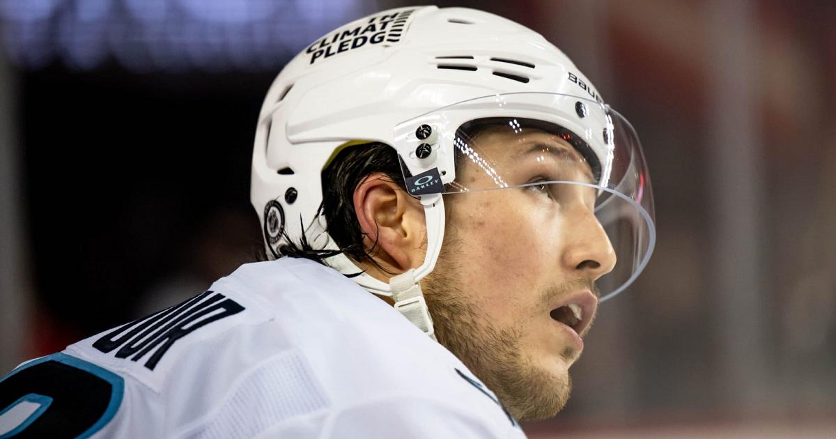 Brandon Montour-Brett Holmes-Imagn Images