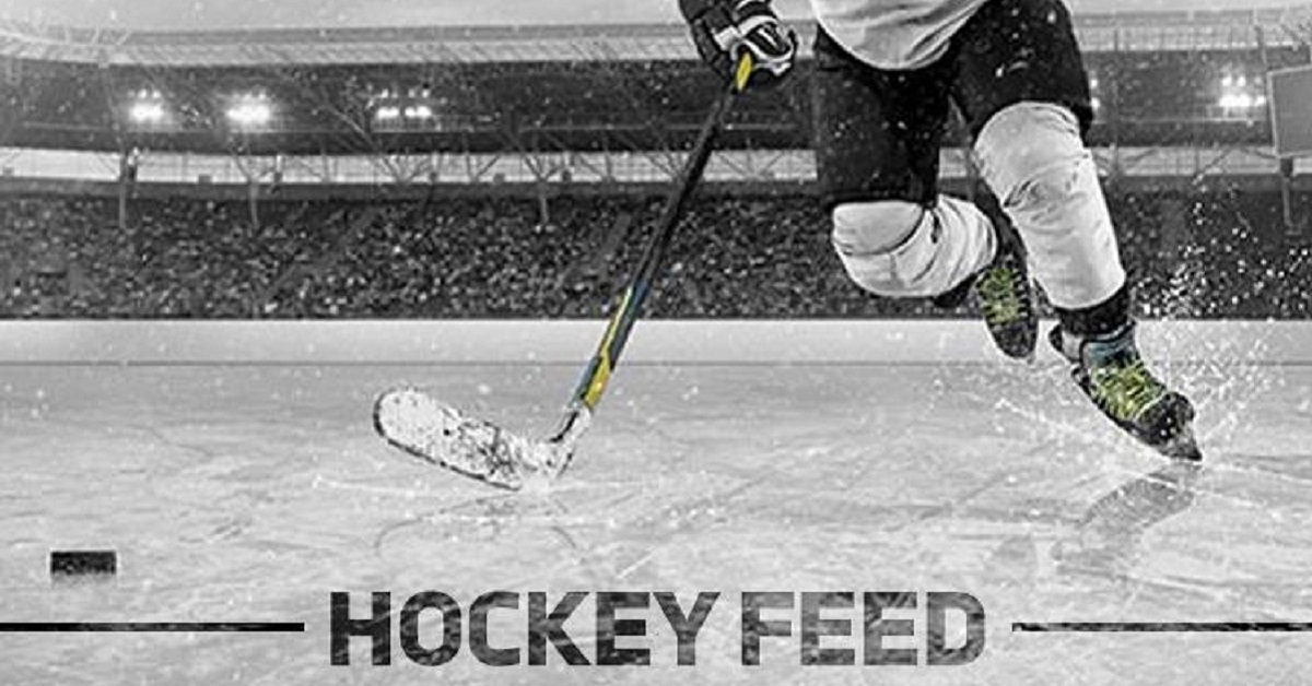 Video shows the moment Aaron Ekblad suffer his concussion. 