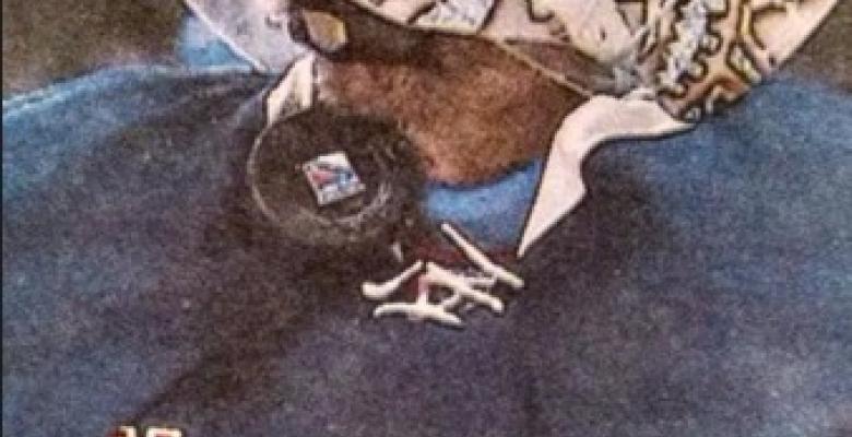 (PHOTO): Henrik Lundqvist publishes a photo of his throat save!