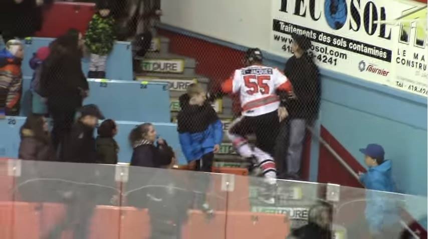 Ex-NHL player charges into the crowd to fight with fans!