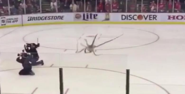 (VIDEO): Fan throws a gigantic Octopus on the ice in Detroit!