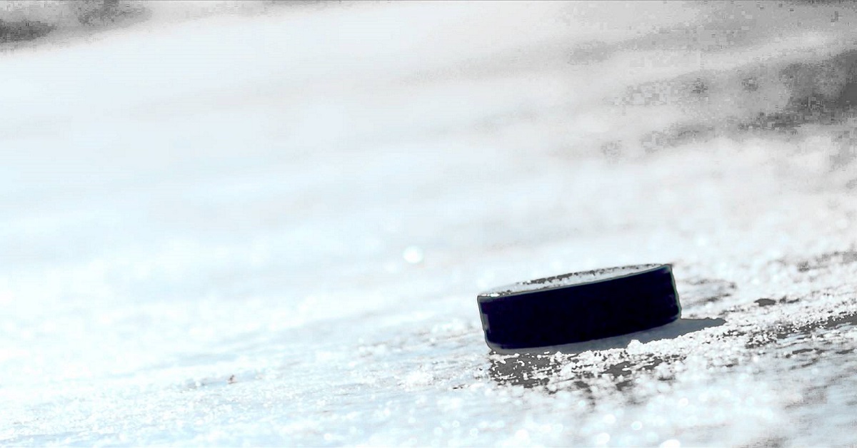 A look at the top 10 projected picks for the 2017 NHL draft.