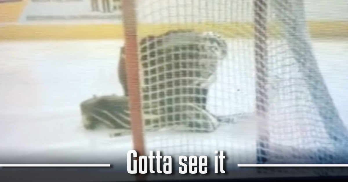 GOTTA SEE IT: Goaltender injured after taking Chara blast in the family jewels